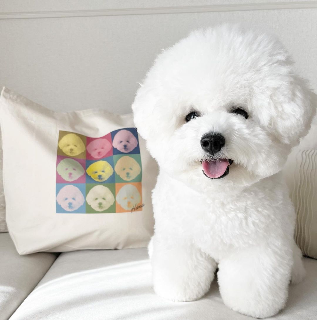 ぴぴぴ、ぴーちゃん様 注文商品のご紹介 – hima_bichon 様- | 株式会社 小野ユニフォーム