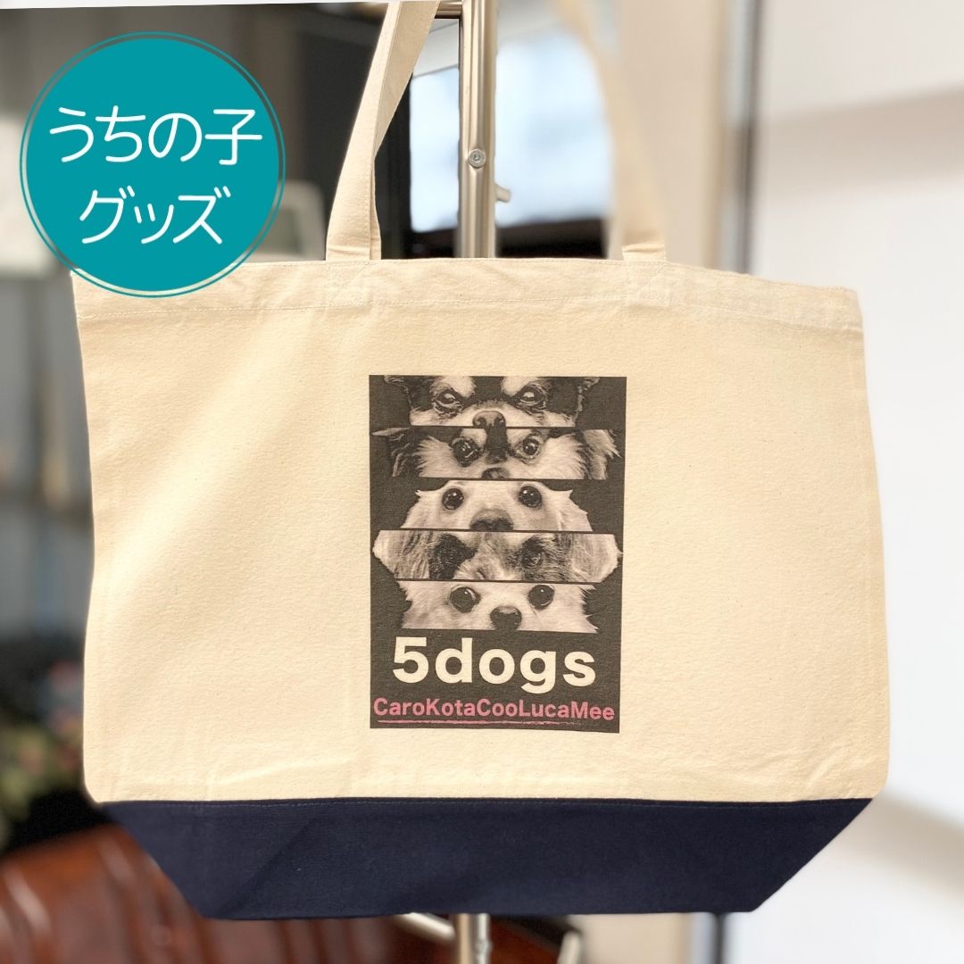 池田瑛紗 S賞 トートバッグ A賞 ポスター B賞 モバカ 池田瑛紗 S賞 トートバッグ A賞 ポスター B賞 モバカ 乃木坂46 池田